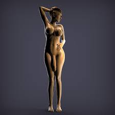 Futa 3d model