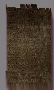 Image result for Chlorophytum macrosporum