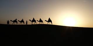 Camel physiology has two major adaptations compared to other mammals, which explains this ability. What Is Morocco Famous For 2021