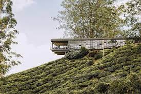 The 12 Best Things To Do In The Cameron Highlands We Are Travel Girls Cameron Highlands Tea Estate Hotels And Resorts