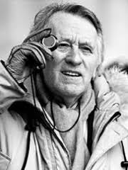 Ibrahim Shams Biography