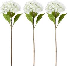 We did not find results for: Buy Kingou Artificial Flowers Hydrangeas Faux Silk Flowers For Wedding Bouquets Flower Arrangements Home And Office Wedding Decorations 3 Stems Per Box White Online In Turkey B0911wydvh
