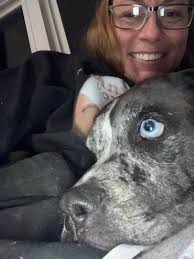 UPDATE--- Chance came home last night! Thank you all for the repost and  help looking for him Chance can be very skidish but the nicest pup ever.  Poor baby is scared to