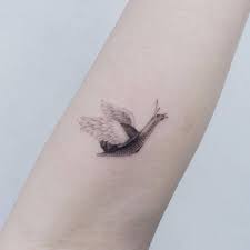 See more ideas about tattoos, snail tattoo, snail. Single Needle Flying Snail Tattoo