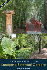 8 Reasons You Ll Love Kanapaha Botanical Gardens In Gainesville Florida In 2020 Botanical Gardens Bamboo Garden Planting Flowers