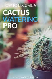 Many desert cactus lovers prefer. How Often To Water Cactus 9 Essential Tips Smart Garden Guide Smart Garden Garden Guide Small Cactus Plants