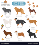 Shepherd Dog Breeds | PetCareRx