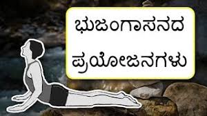 Yoga asanas in telugu pdf | calm games vatsayana kamasutra kannada pdf. Yoga Asana Pre Preparations In Kannada Yoga Asanas In Kannada Yoga News
