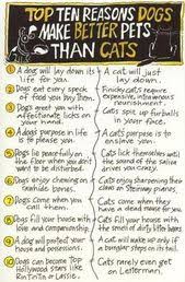 If you don't operate under a tight schedule, or you work from home, a cat will be an excellent choice. 20 Dogs Are Way Better Than Cats Ideas Dogs Cats Dog Cat