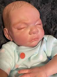 Rose<br> by Shauna Sanchez from Turkey Point Nursery