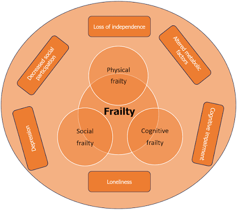 Frailty models and social frailty
