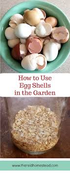 How To Use Eggshells In The Garden To Benefit Your Plants Egg Shells In Garden Garden Fertilizer Egg Shells