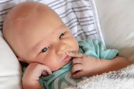 Leinani Shak Photography (@shakaitis) • Instagram photos and videos