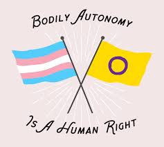 The lgbtq+ acronym is a term used to describe people who are transgender and/or attracted to the same gender. What Is The I In Lgbtqia Intersex Gender And Lgbtqia
