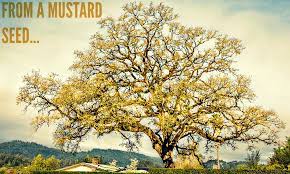 Mustard plants don't grow into what we normally think of as trees, with woody trunks, bark, and big branches, though when conditions are right, they can when christ says that the mustard seed will become a tree, he is describing something unique that can happen with a mustard plant under. Parable Of A Mustard Seed Spiritual Love Warrior