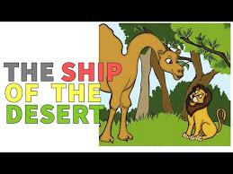 Just as a ship is constructed to deal with all the problems that arise from being in the water, so a camel is constructed to live and travel and survive in the desert. The Ship Of The Desert Ncert Class 3rd Full Explaination à¤¹ à¤¦ à¤® Youtube