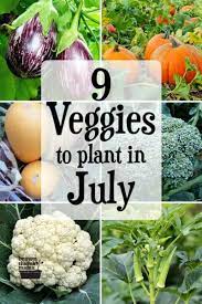 9 Vegetables To Plant In July Zone 9 Starting A Vegetable Garden Planting Vegetables Growing Vegetables