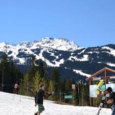 Profile for Adam Knighting