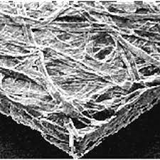 Next you have to always carry a microscope with two hands. Scanning Electron Microscope Microphotography Of A 100 C T Thick Download Scientific Diagram