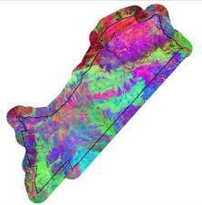 Image result for Stadmannia oppositifolia