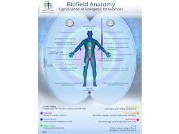 Anatomy • free medical books. Biofield Anatomy Map Anatomy Drawing Diagram