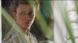 Daniel Reel's Instagram, Twitter & Facebook