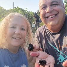 Not the biggest but tasty when you make jam