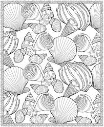 Free printable seashell coloring pages for kids. Pin On Ideen Fur Kinder