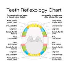 Teeth Reflexology Chart Description