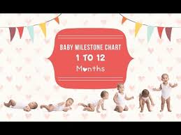 Baby Milestone Chart 1 To 12 Months Youtube