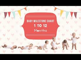 baby milestone chart 1 to 12 months youtube