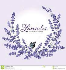 Floral Frame With Autumn Lavender Flowers With Butterfly Illustration About Blue Lavender Invitation Botanical Flower Printable Lavender Lavender Flowers