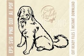 Download 480 pyrenees stock illustrations, vectors & clipart for free or amazingly low rates! Great Pyrenees Png Vector Digital Download Great Pyrenees Svg 6 Designs Great Pyrenees Dog Png Great Pyrenees Dog Silhouette Pack Scrapbooking Embellishments Deshpandefoundationindia Org