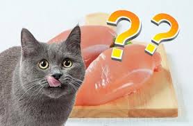 Epingle Sur Chat
