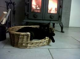 Healthy paws began not just to help pet parents handle the expense of pets' medical treatments, but also to help animal rescue organizations care for the healthy paws plan coverage is provided with no maximum limits on claim payouts; Healthy Pets Veterinary Clinic Ard Easmuinn Road Dundalk Reviews And Appointments Topvet