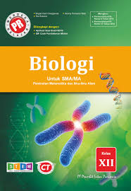 Download buku siswa biologi kelas 12 kurikulum 2013 revisi 2018. Buku Pr Biologi Kelas 12 Lks Intan Pariwara 2020 2021 Lazada Indonesia