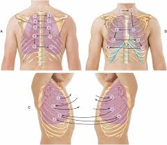 Hesi Case Studies Nursing School Clinicals Nursing Assessment Nursing Study