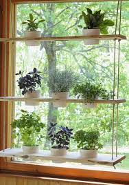 Maaliskuun Suuri Kasityo Lehdessa Suuri Kasityo Suuri Kasityo Herb Garden In Kitchen Window Plants Window Plant Shelves Diy