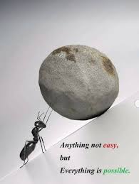 Judgement is a heavy burden to bear. Possibility Everything Is Possible Tuesday Motivation Human Bones