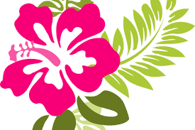 Download Hd Beautiful Flowers Hawaiian Flower Vector Hawaiian Flower Clipart Png Transparent Png Image Nicepng Com