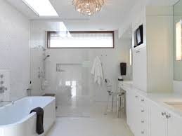 2010 ada standards for accessible design. Handicap Accessible Bathroom Designs Houzz