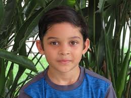 The Lonely Apple!: Has No Friends...: Espinoza, Liam Joseph, Espinoza, Liam  Jospeh, Espinoza, Gadiel A.: 9798537046004: Amazon.com: Books