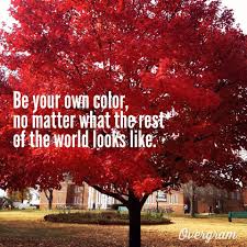 Quote Fall Saying Tree Nature Color Autumn Quotes Nature Quotes Color Quotes