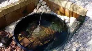In commercio ci sono numerosi kit per preparare la birra artigianalmente. Laghetto Per Tartarughe Con Sistema Di Filtraggio Acqua Youtube