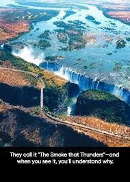 Image result for Zygotritonia atropurpurea