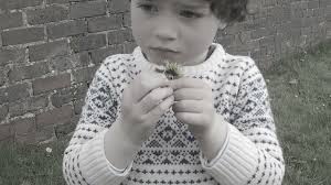 At Home In The Steep Places: The Story of Bill Peascod