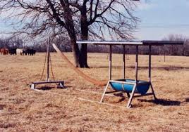 Cattle Rub Idea Cattle Farming Cattle Cattle Feeder