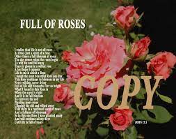 This Poem Is Is Beautiful And Real Just Like A Rose Description From Fullofrosesinspirationals Wordpress Com I Searched Rose Poems Poems Inspirational Poems