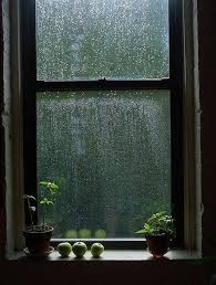 Fenetre A Brooklyn En 2020 Love Rain J Aime La Pluie Nuit Pluvieuse
