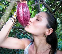 Vanessa's Love Letter to Cacao — Gnosis Chocolate